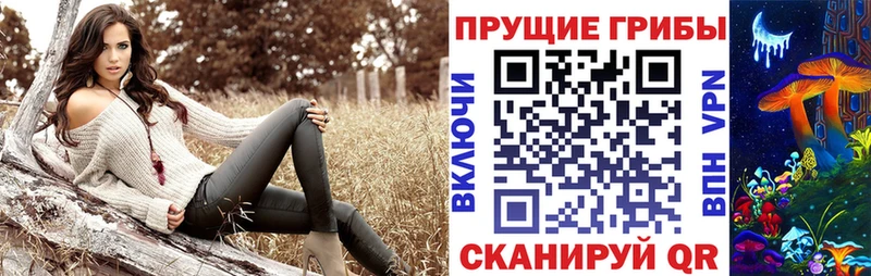 где купить наркоту  Кологрив  Галлюциногенные грибы ЛСД 